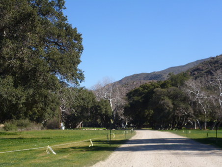 Enlarge photo 145