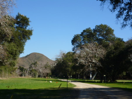 Enlarge photo 147