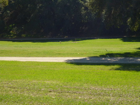 Enlarge photo 148