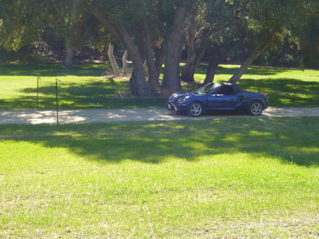 Enlarge photo 149