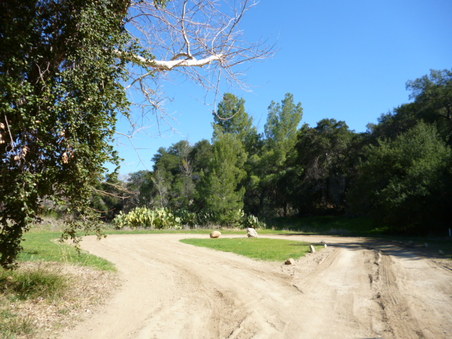Enlarge photo 150