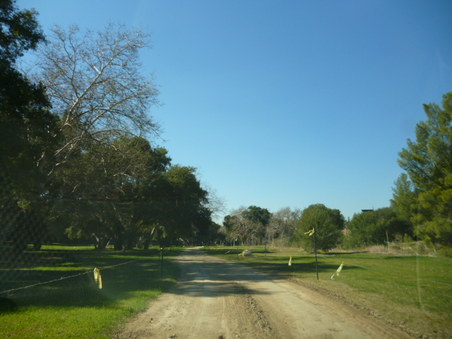 Enlarge photo 151