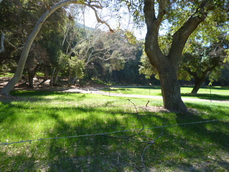 Enlarge photo 152