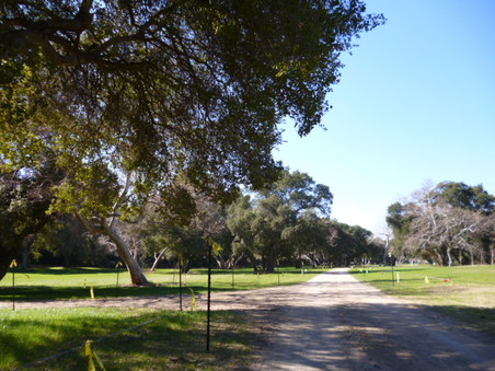 Enlarge photo 153