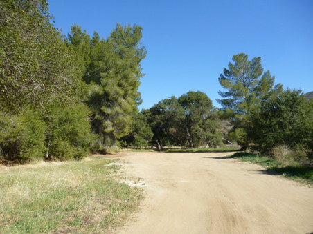 Enlarge photo 154