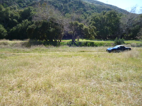 Enlarge photo 156