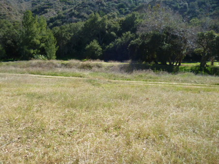 Enlarge photo 157