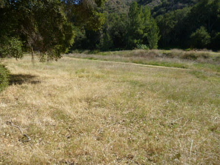 Enlarge photo 158
