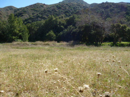 Enlarge photo 159