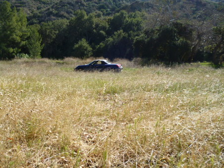 Enlarge photo 161