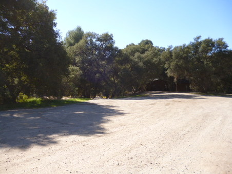 Enlarge photo 165