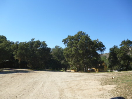 Enlarge photo 166