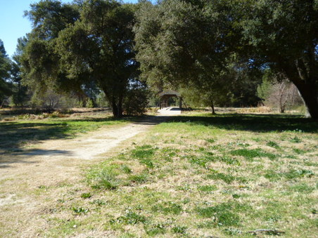 Enlarge photo 167