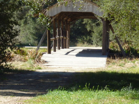Enlarge photo 168