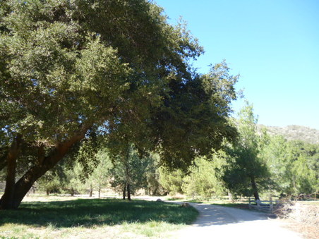 Enlarge photo 169