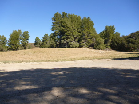 Enlarge photo 177