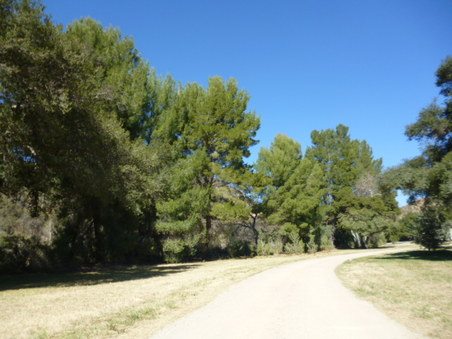 Enlarge photo 181