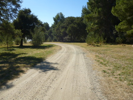 Enlarge photo 182