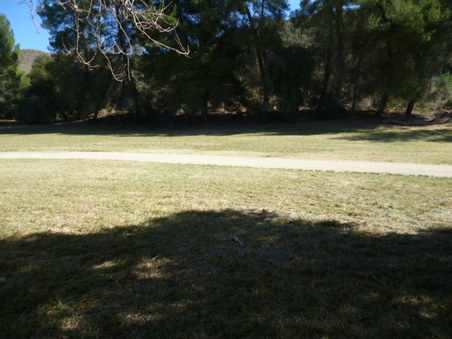 Enlarge photo 184