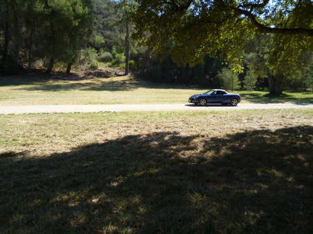 Enlarge photo 185