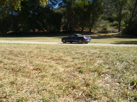 Enlarge photo 186