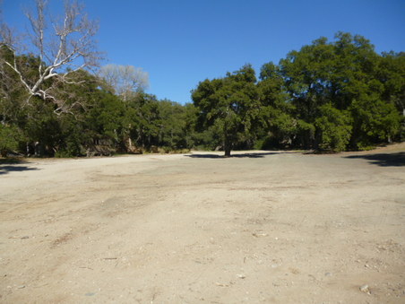 Enlarge photo 188