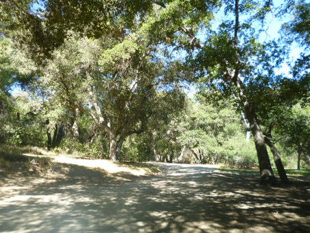 Enlarge photo 189