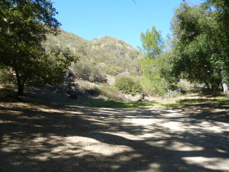 Enlarge photo 190