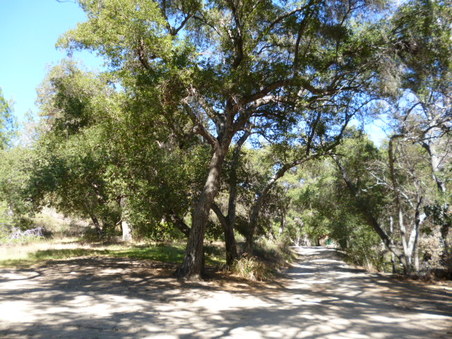 Enlarge photo 191