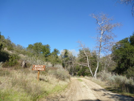 Enlarge photo 194