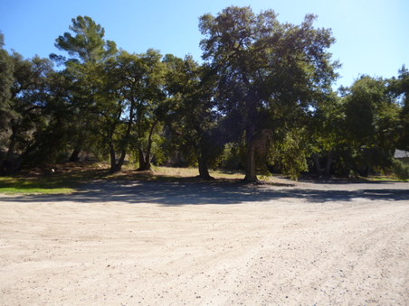 Enlarge photo 197