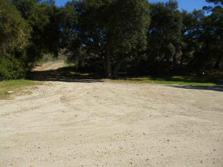 Enlarge photo 198