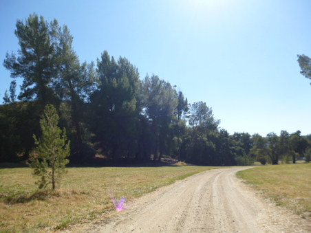 Enlarge photo 201