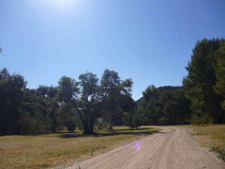 Enlarge photo 202