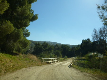 Enlarge photo 205