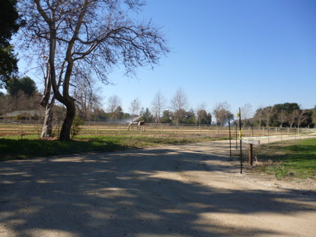 Enlarge photo 207