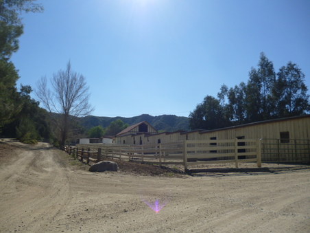Enlarge photo 208