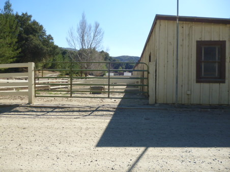 Enlarge photo 209