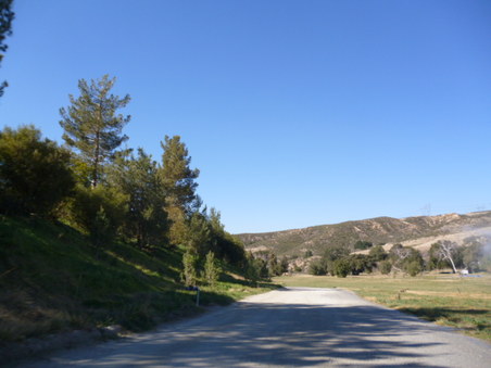 Enlarge photo 212