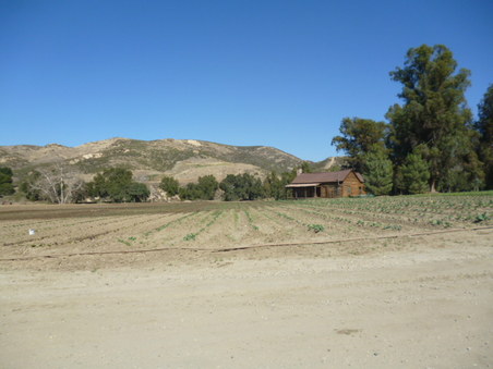 Enlarge photo 215