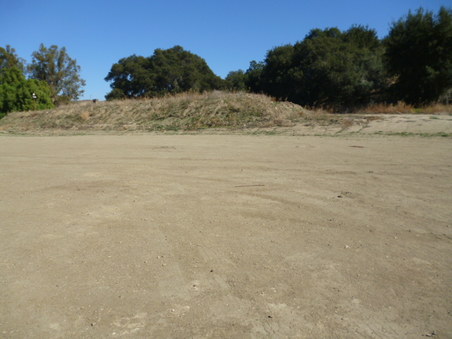 Enlarge photo 219