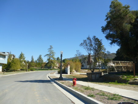 Enlarge photo 223