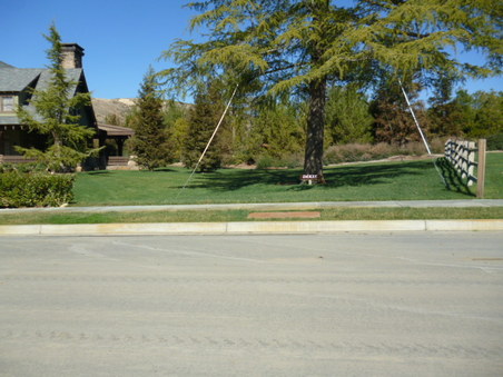 Enlarge photo 226