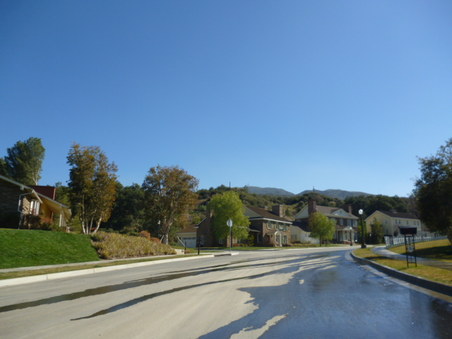 Enlarge photo 231