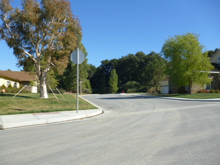 Enlarge photo 233