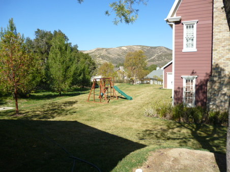 Enlarge photo 252