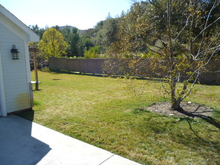 Enlarge photo 257