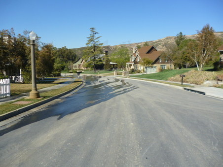 Enlarge photo 262
