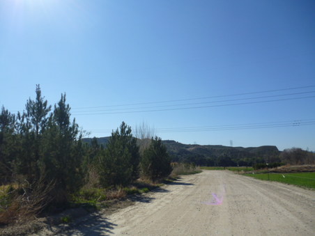 Enlarge photo 272