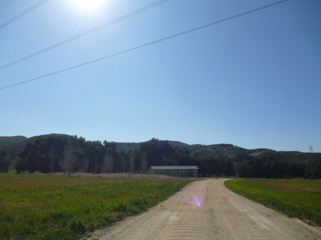 Enlarge photo 273